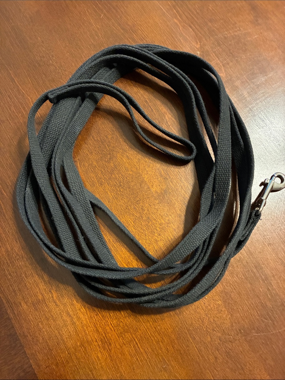 20 foot black cotton dog leash